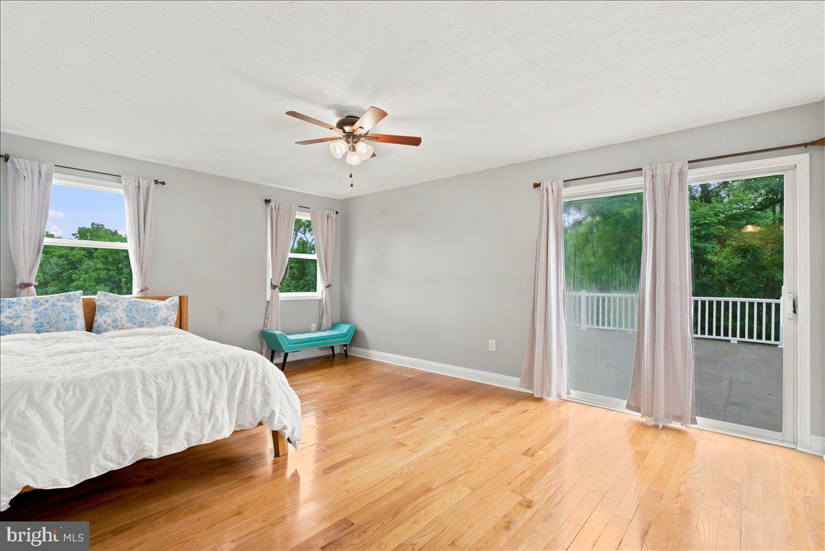 193 Marsh Ln Property Photo 36