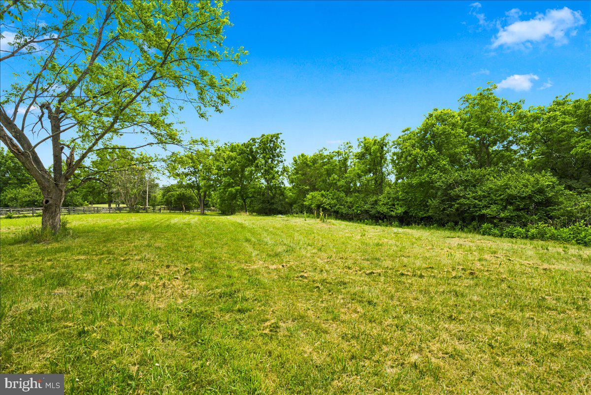 193 Marsh Ln Property Photo 75