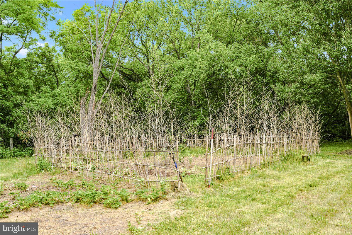 193 Marsh Ln Property Photo 85