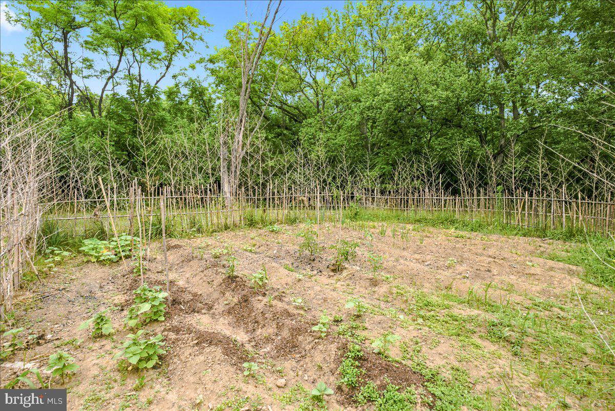 193 Marsh Ln Property Photo 86