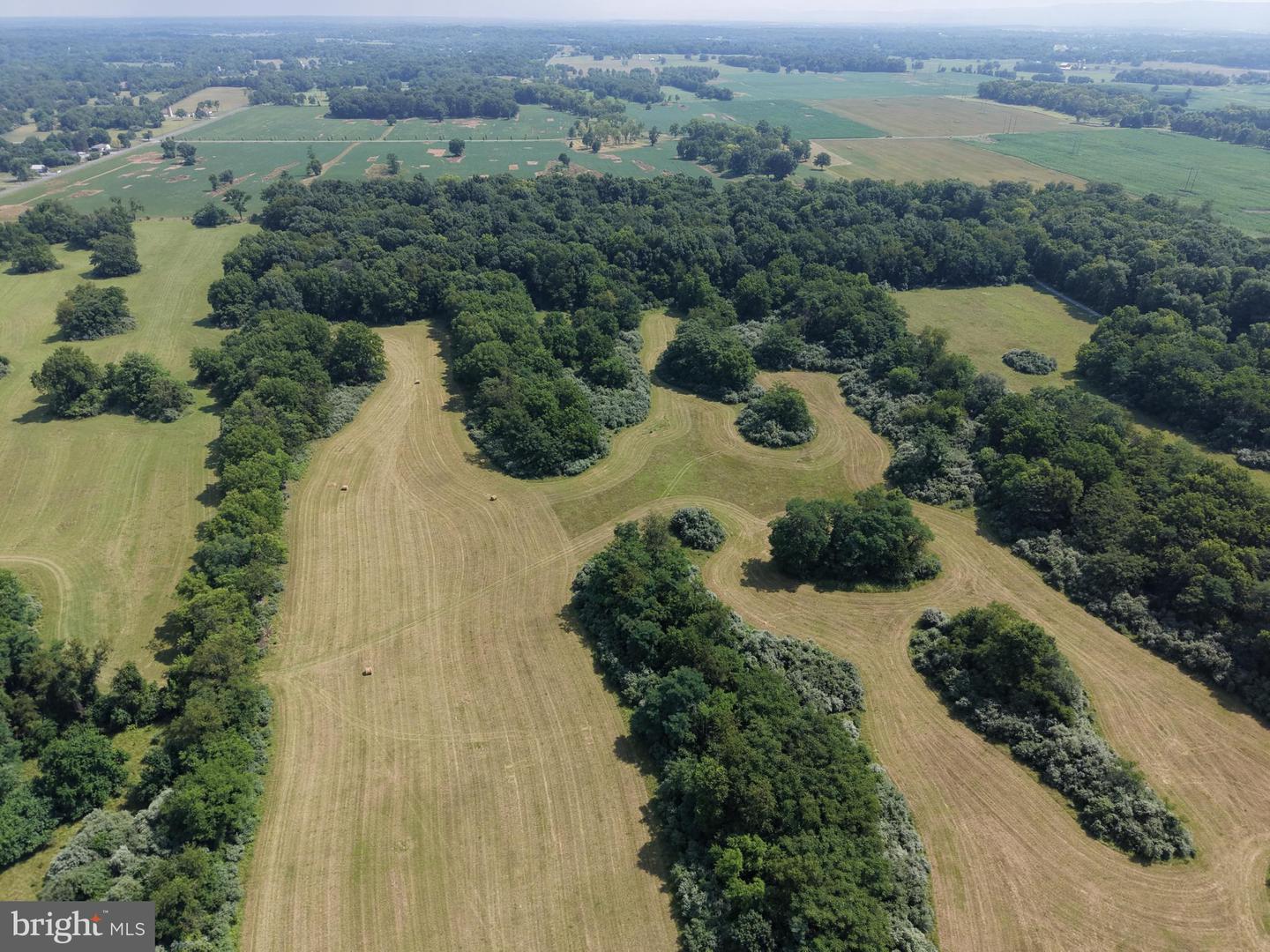 10068 Harry Byrd Hwy Property Photo 31