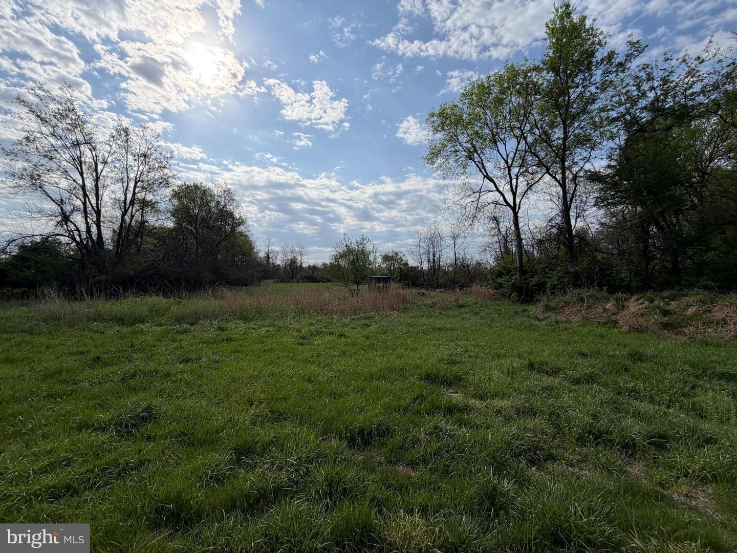 10068 Harry Byrd Hwy Property Photo 36