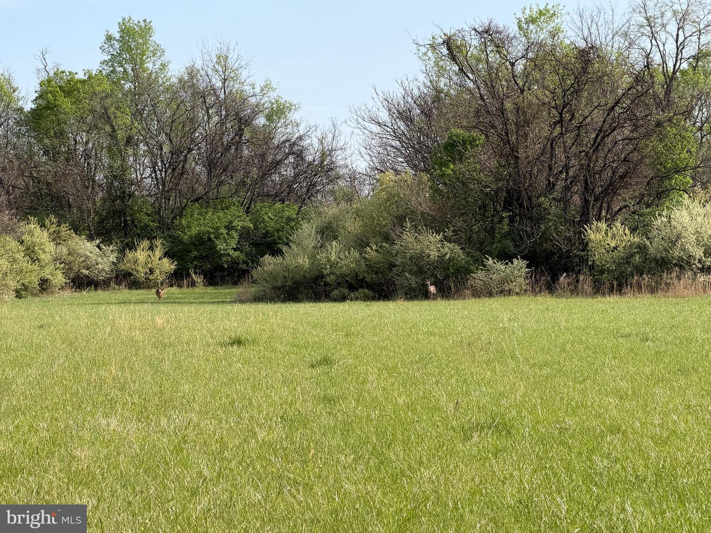 10068 Harry Byrd Hwy Property Photo 37