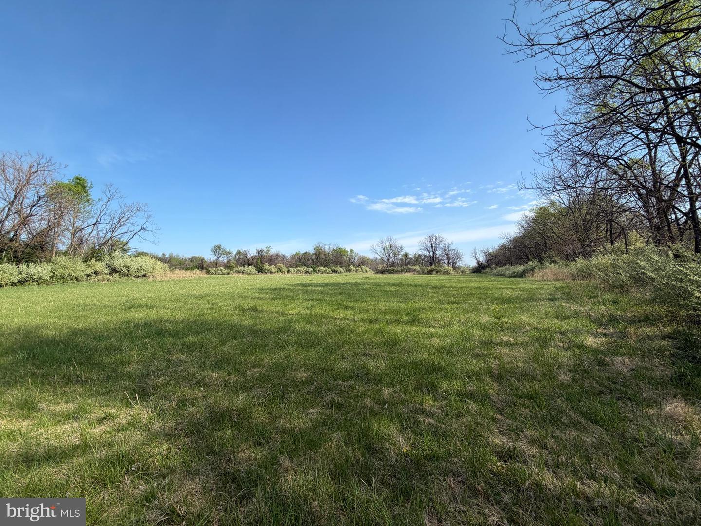 10068 Harry Byrd Hwy Property Photo 39