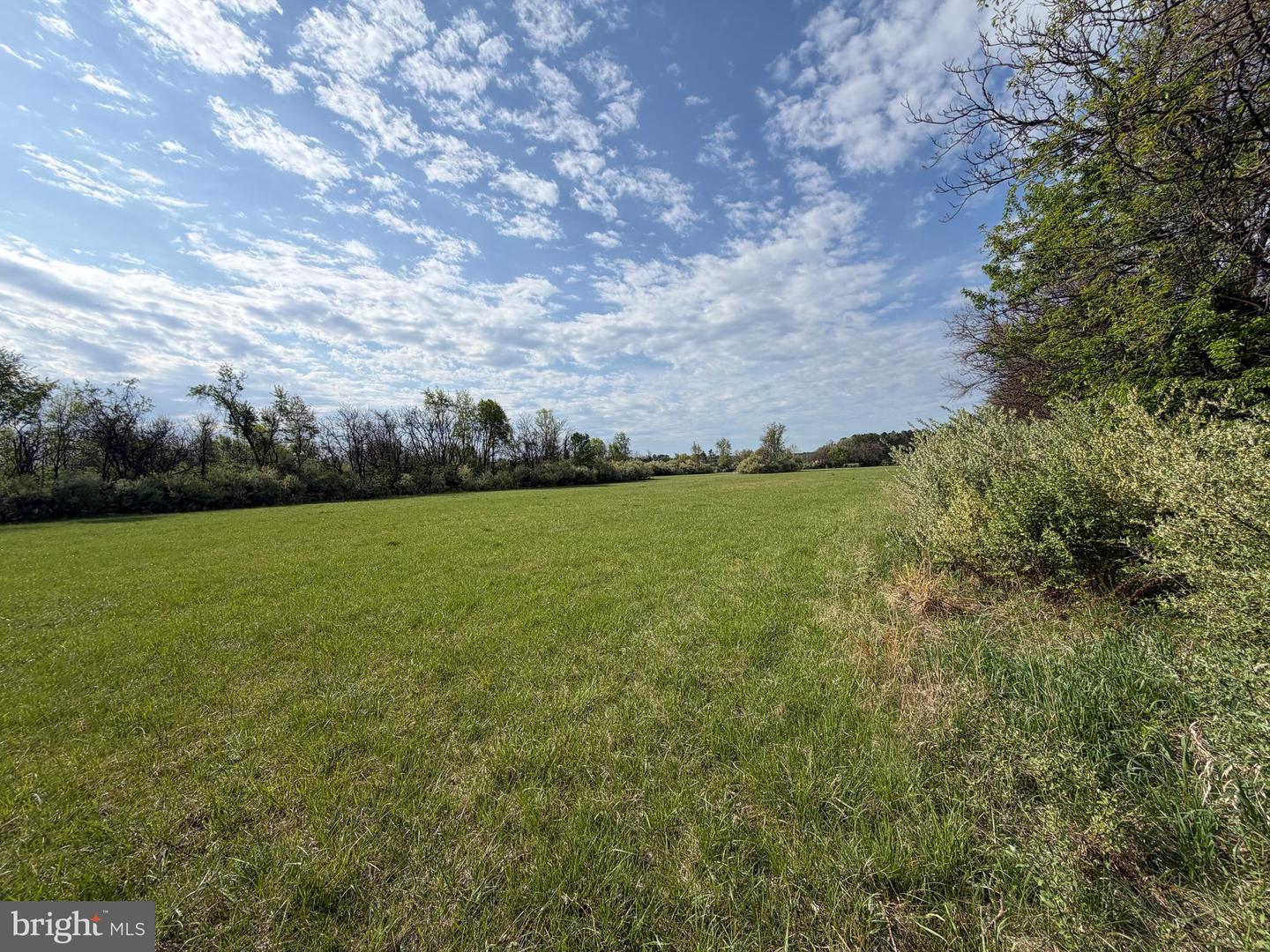 10068 Harry Byrd Hwy Property Photo 42