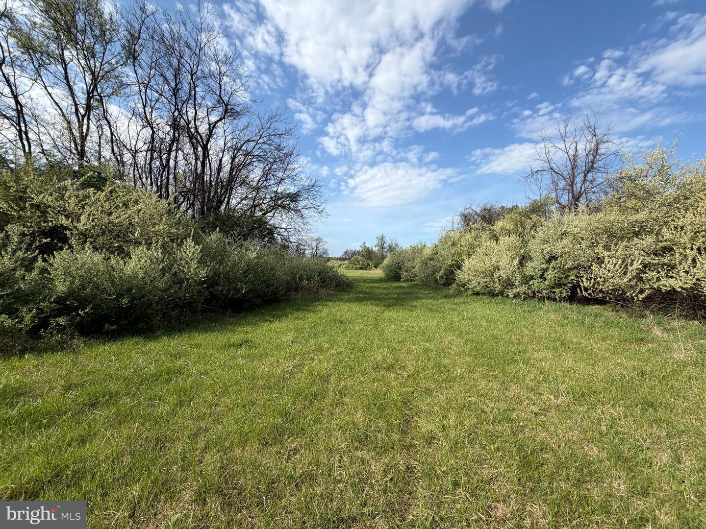 10068 Harry Byrd Hwy Property Photo 45