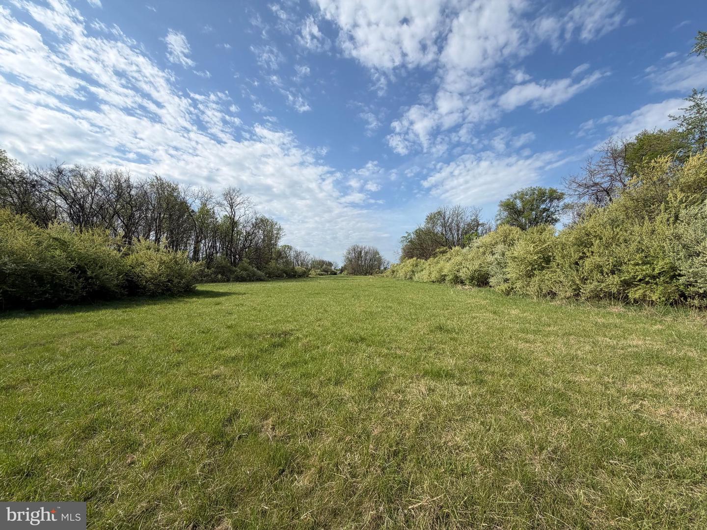 10068 Harry Byrd Hwy Property Photo 47