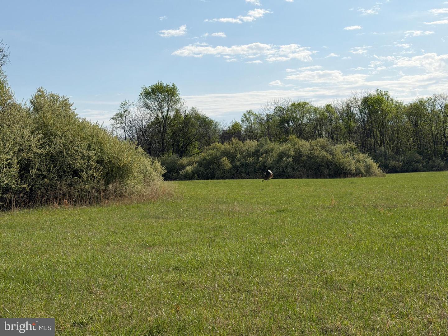 10068 Harry Byrd Hwy Property Photo 51