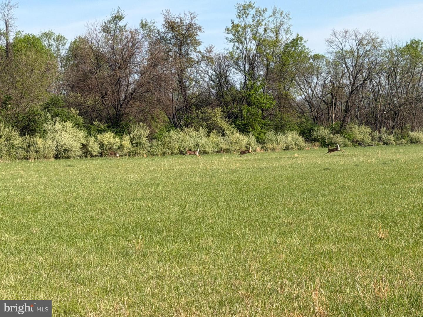 10068 Harry Byrd Hwy Property Photo 52
