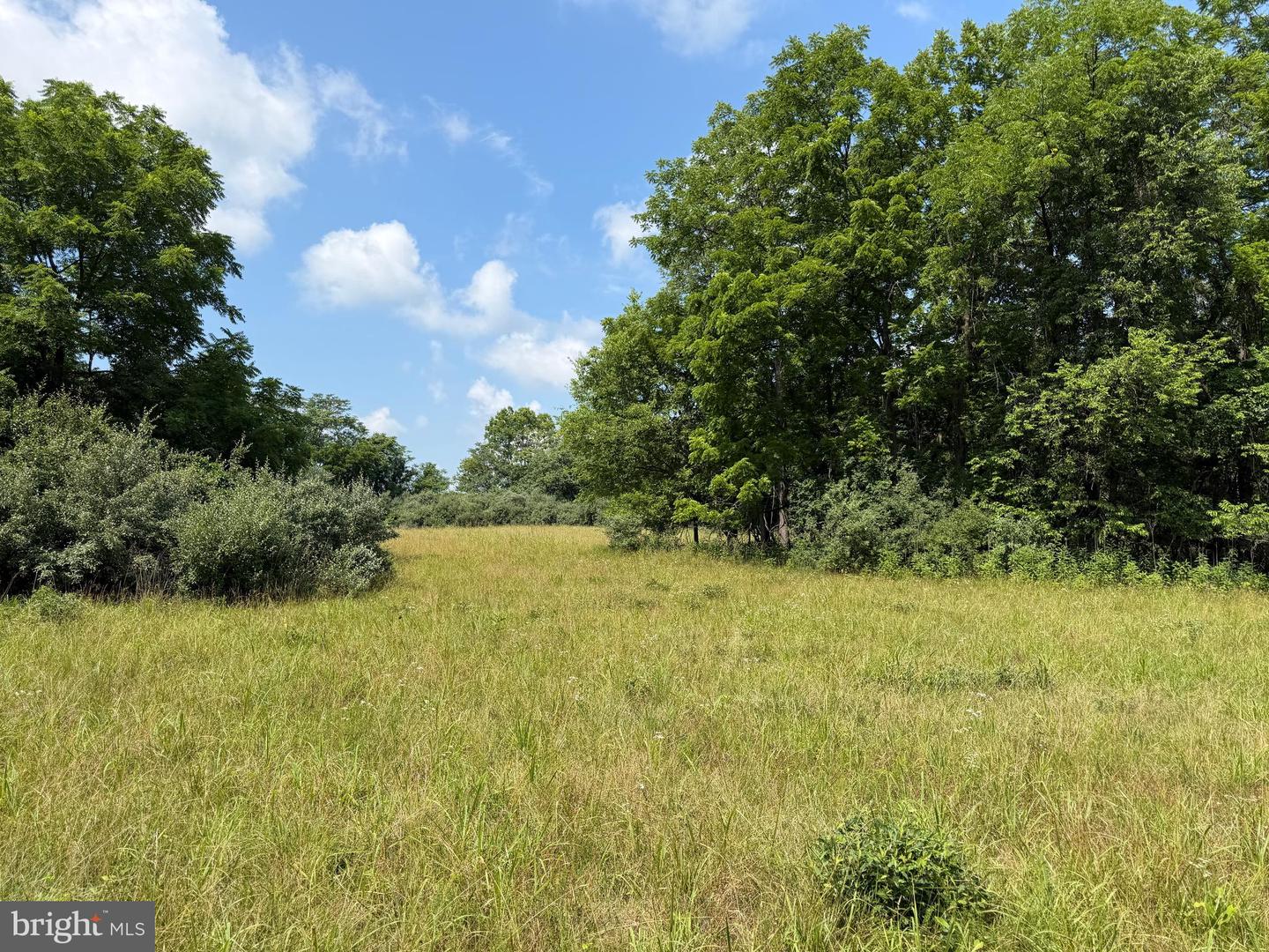 10068 Harry Byrd Hwy Property Photo 53