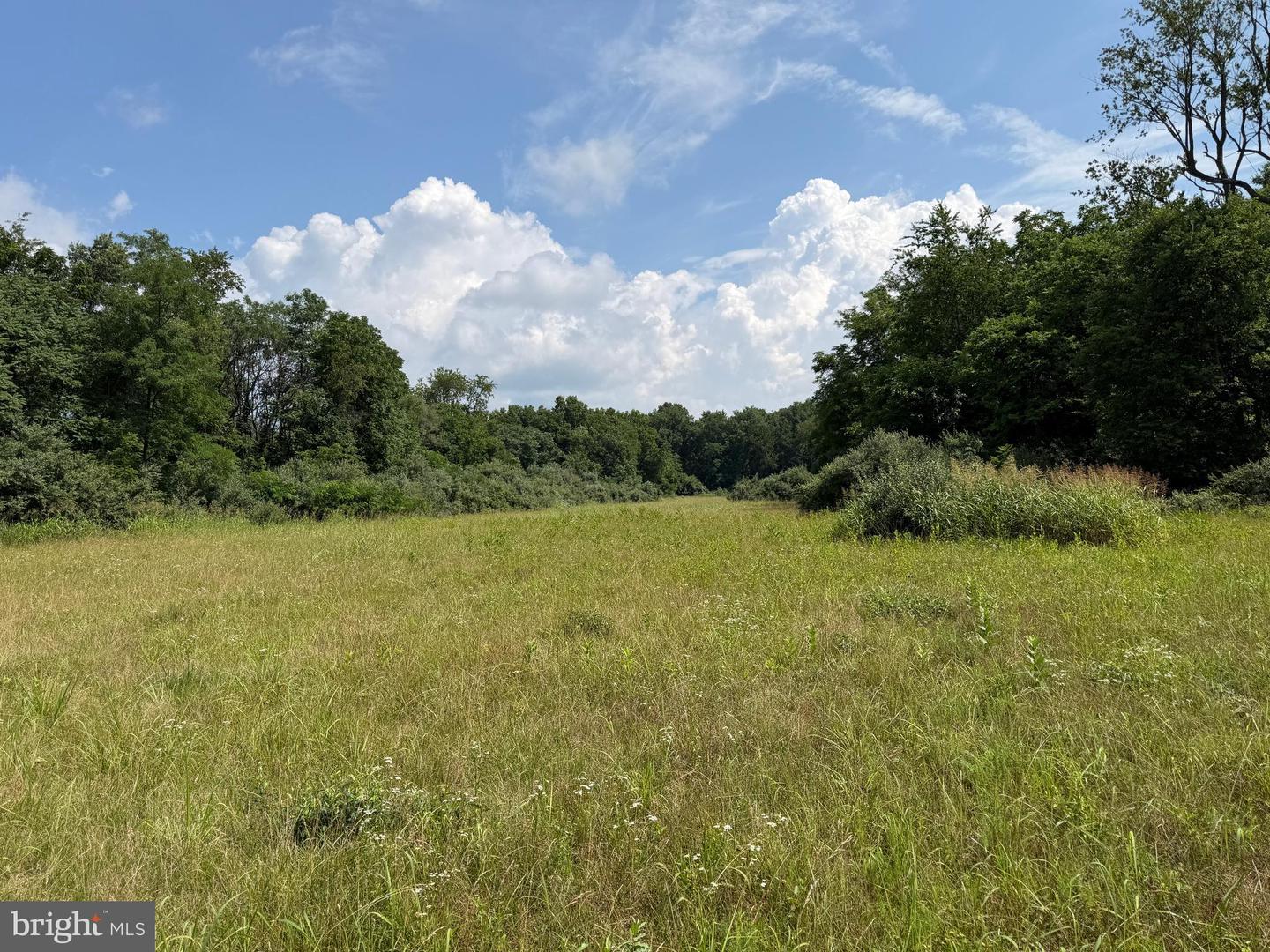10068 Harry Byrd Hwy Property Photo 54