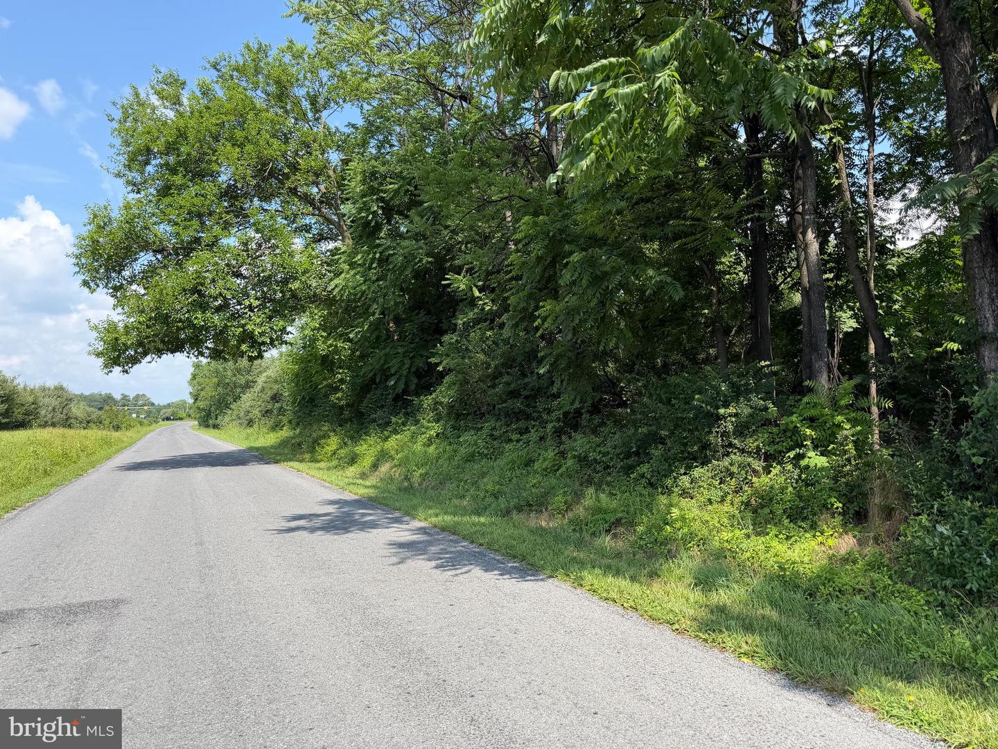 10068 Harry Byrd Hwy Property Photo 55