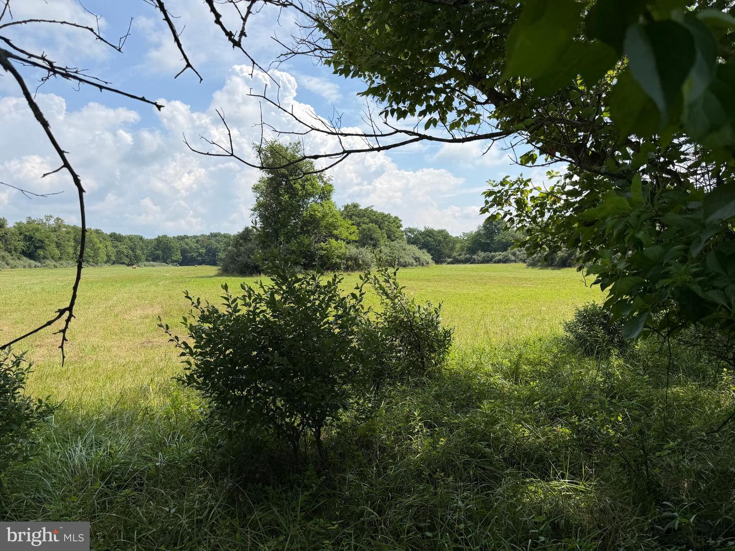 10068 Harry Byrd Hwy Property Photo 57