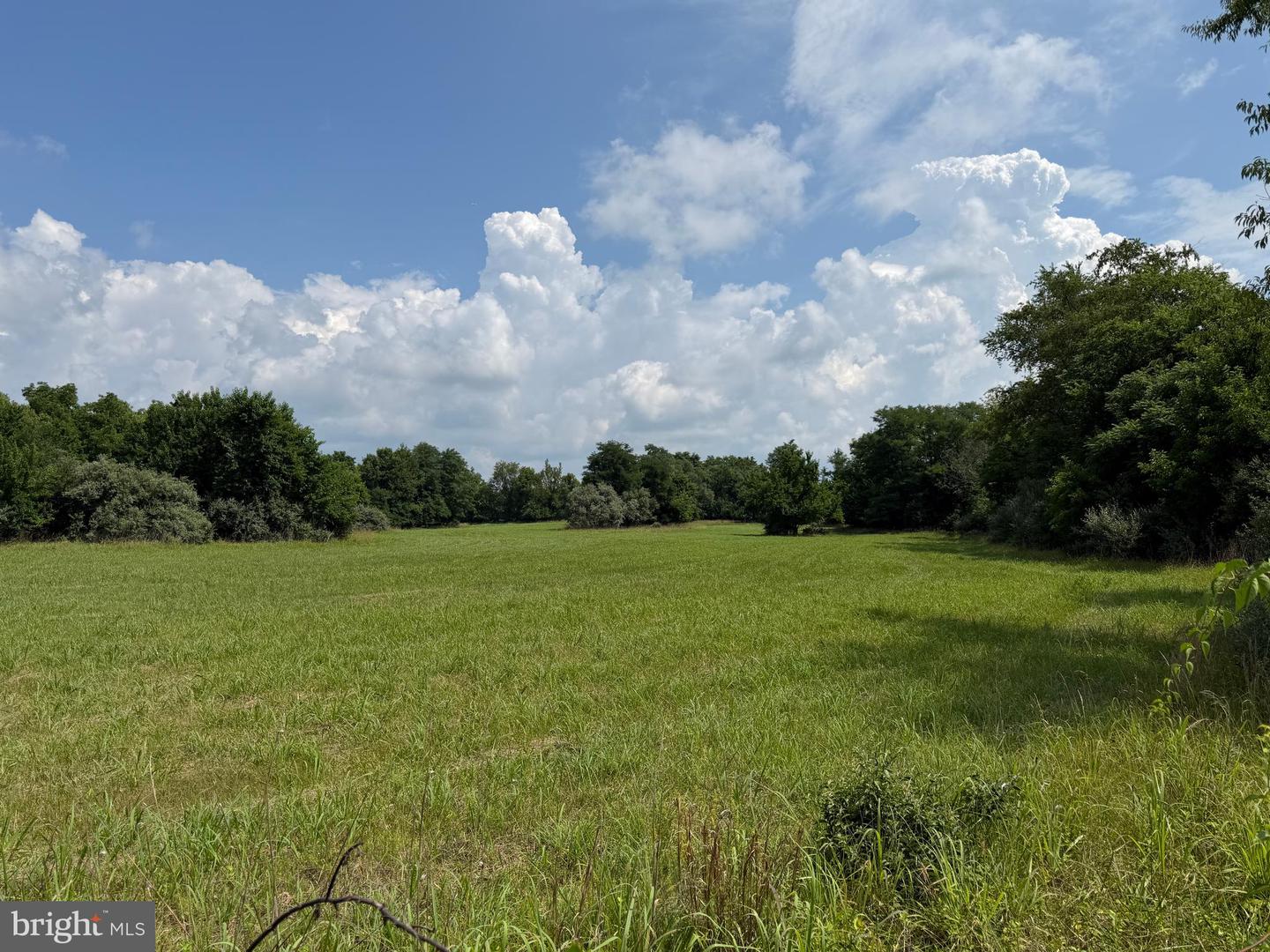 10068 Harry Byrd Hwy Property Photo 58