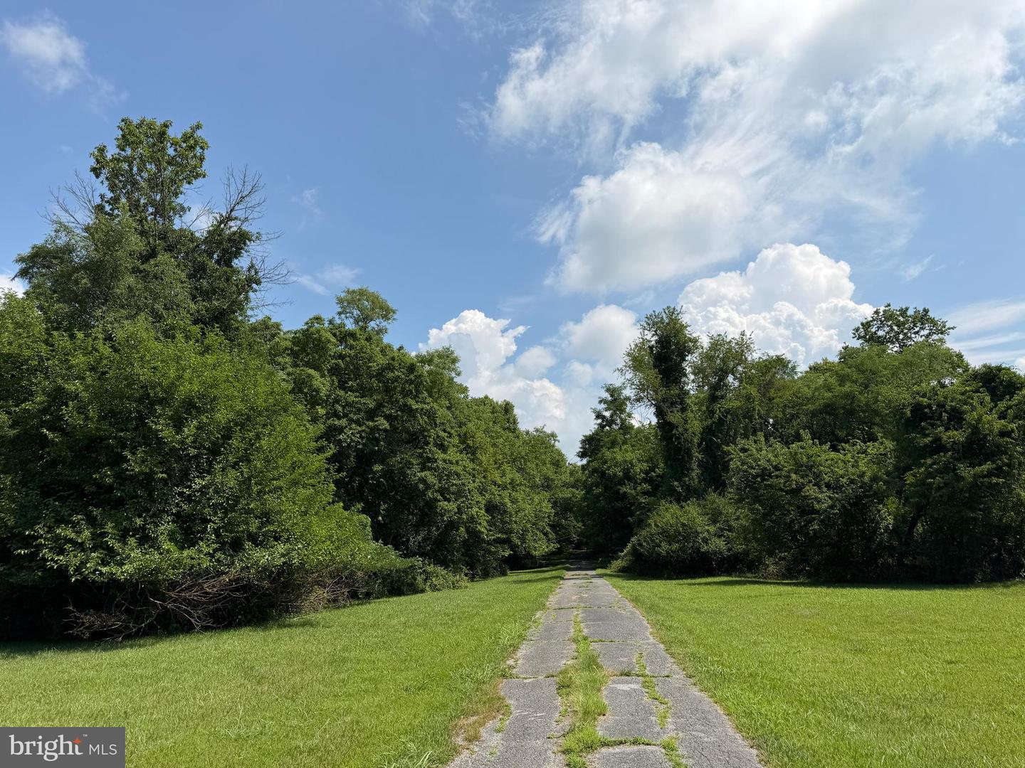 10068 Harry Byrd Hwy Property Photo 63