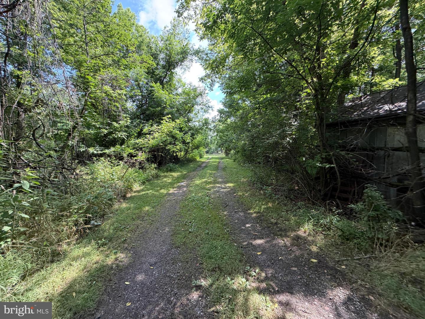 10068 Harry Byrd Hwy Property Photo 66
