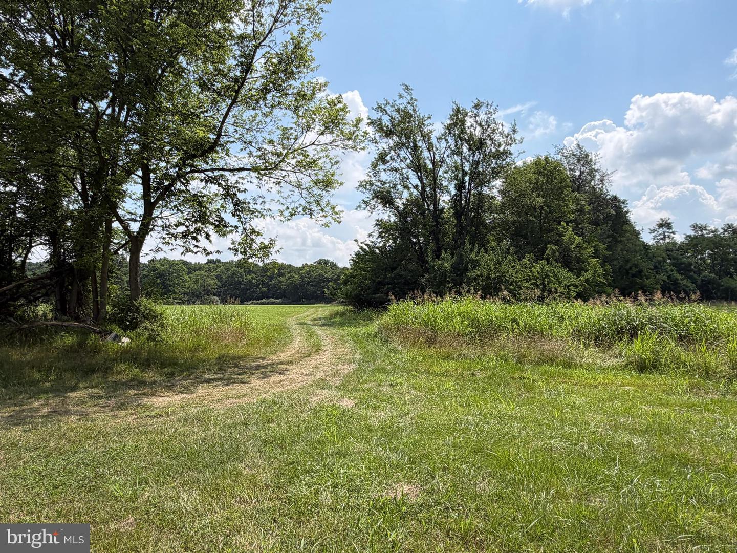 10068 Harry Byrd Hwy Property Photo 69