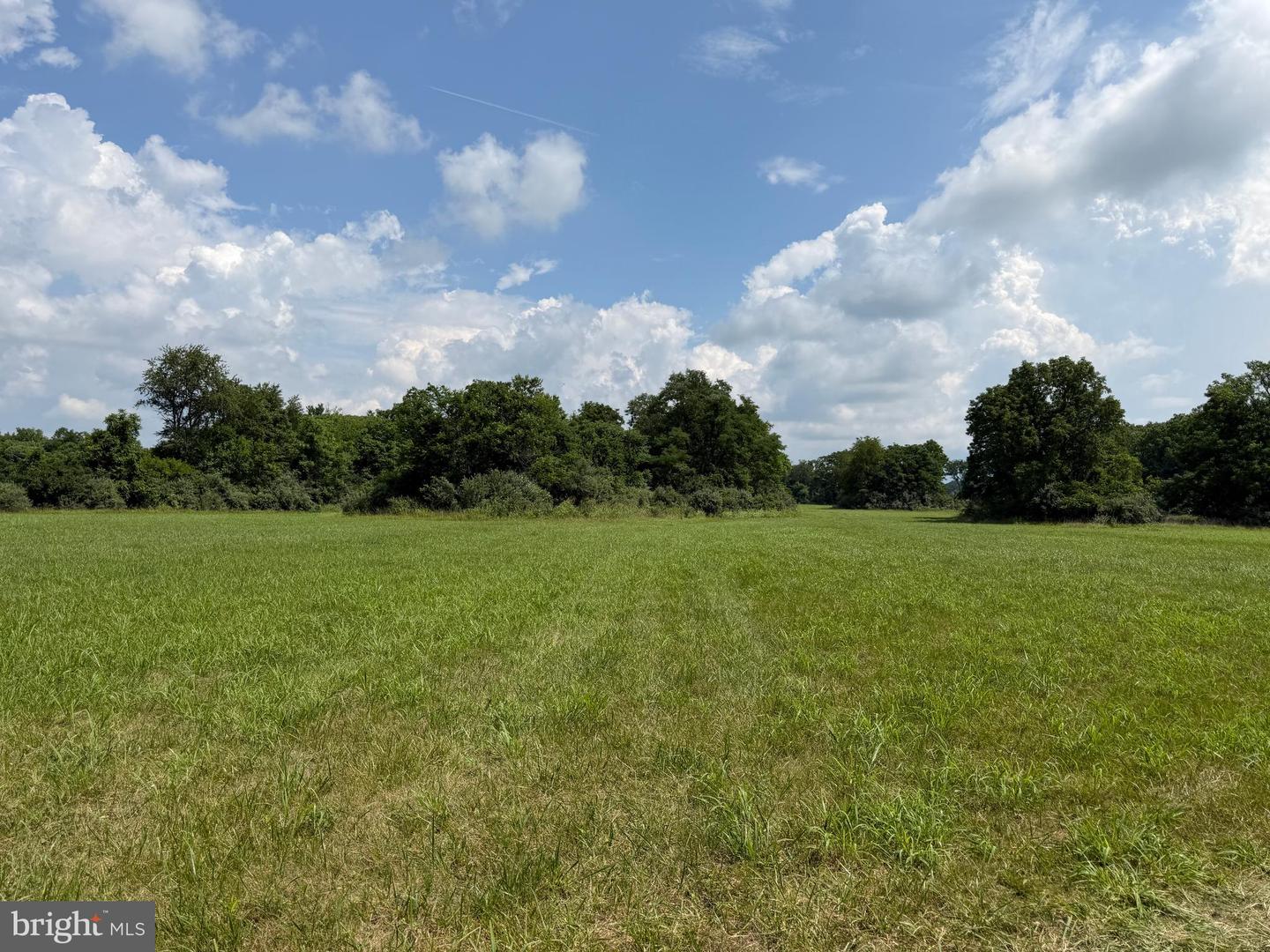 10068 Harry Byrd Hwy Property Photo 74