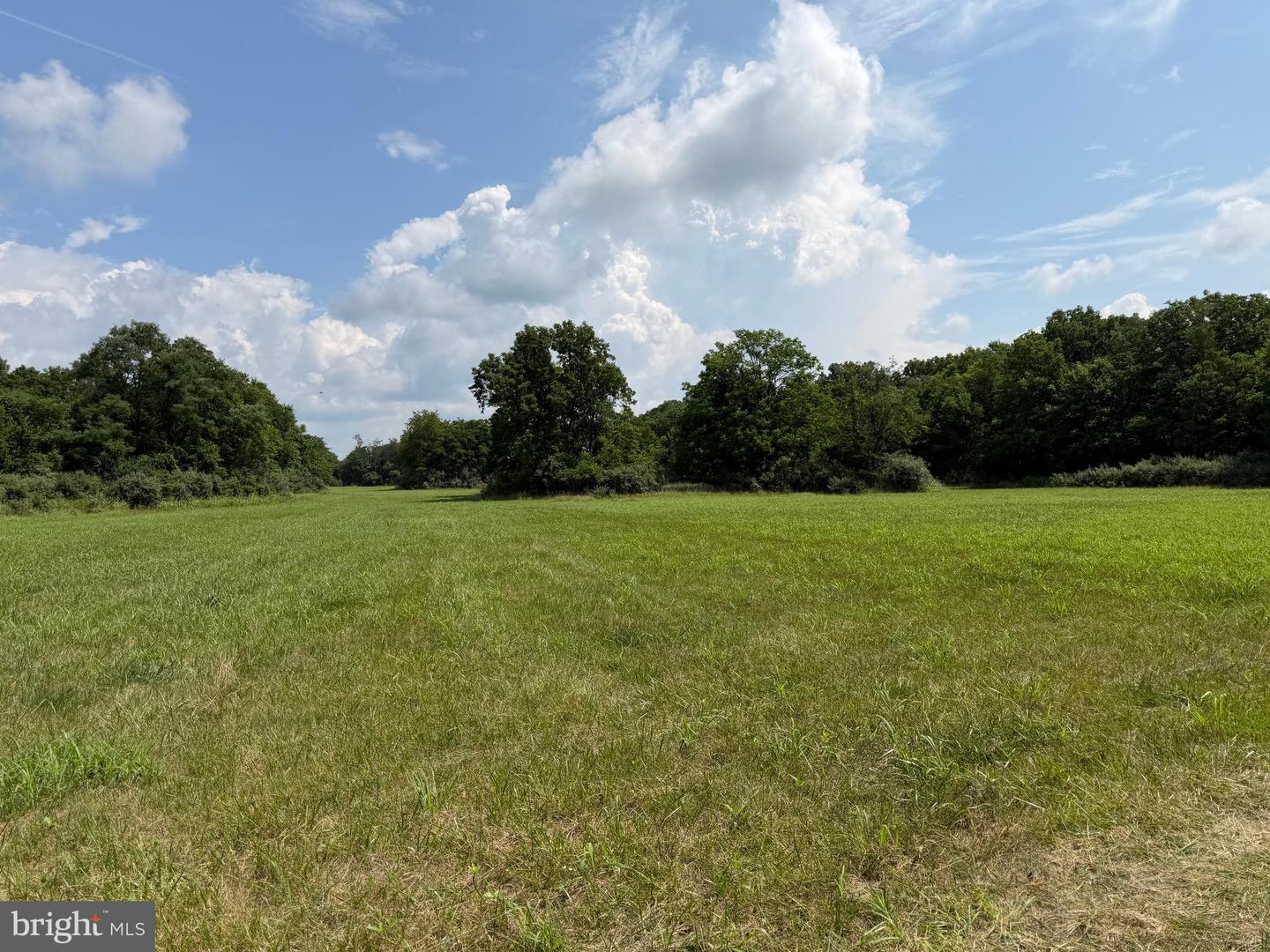 10068 Harry Byrd Hwy Property Photo 75