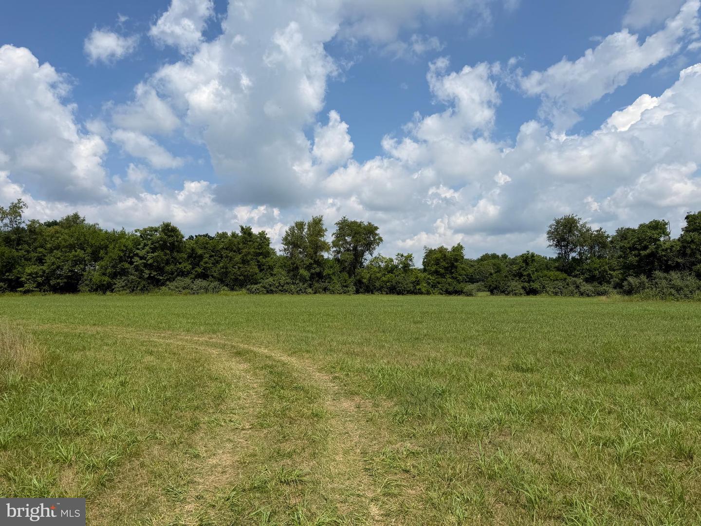 10068 Harry Byrd Hwy Property Photo 76