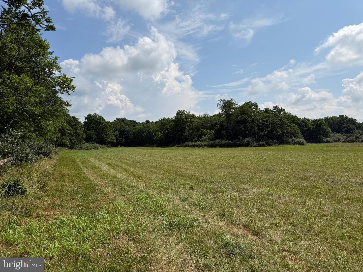 10068 Harry Byrd Hwy Property Photo 77