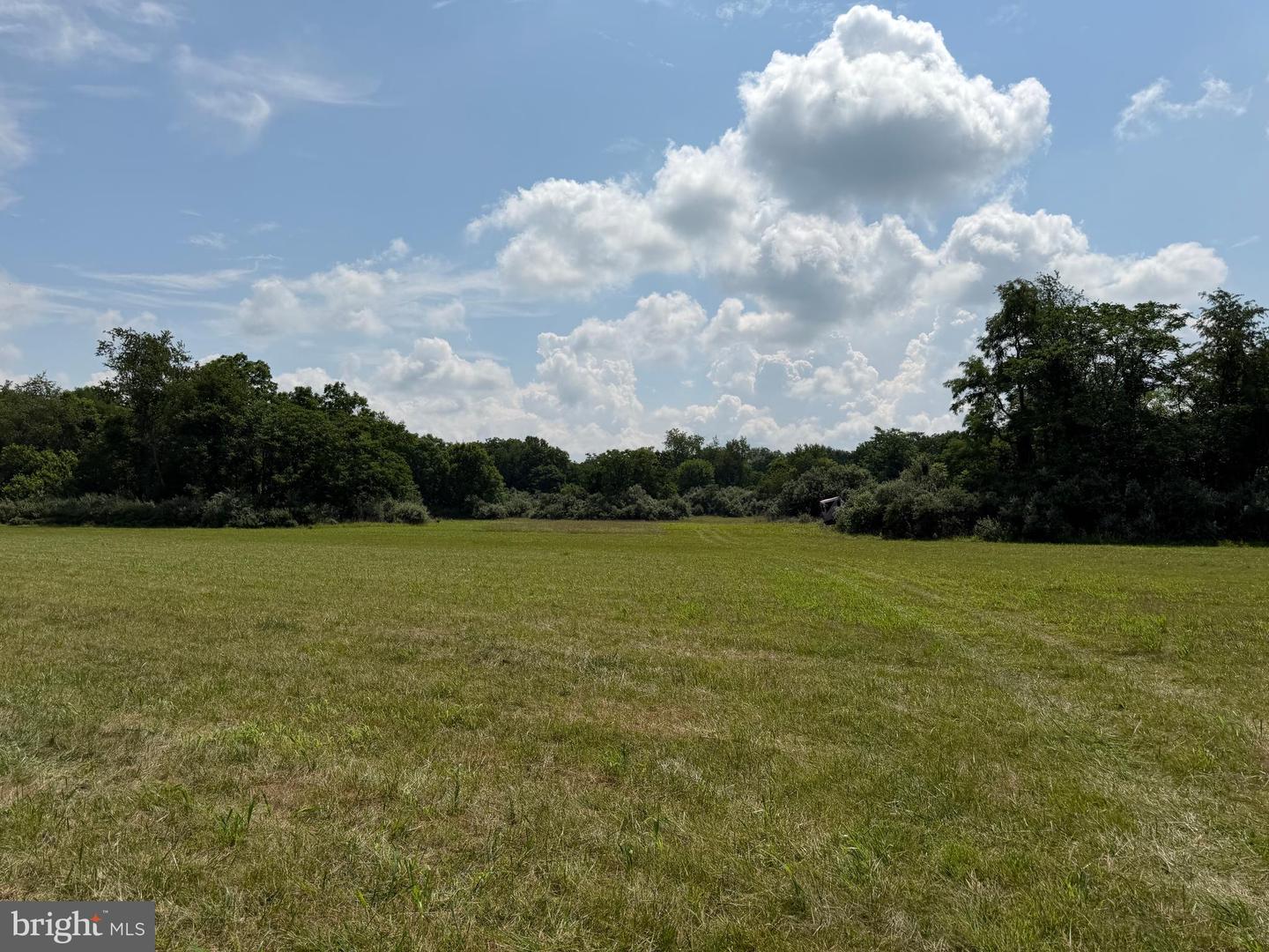 10068 Harry Byrd Hwy Property Photo 78