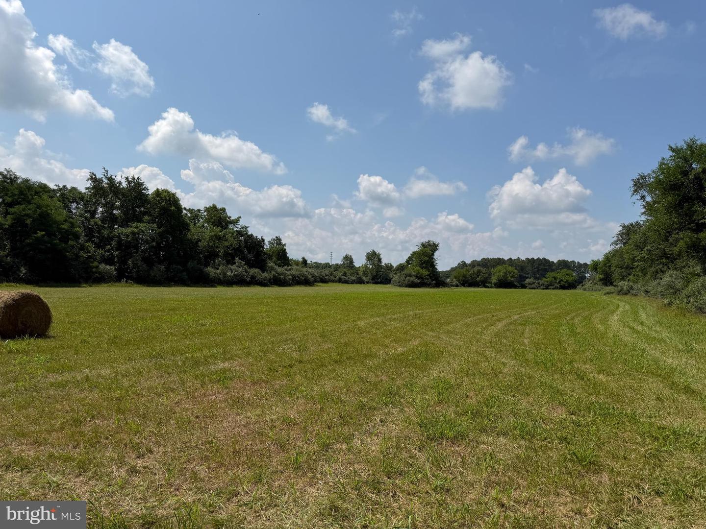 10068 Harry Byrd Hwy Property Photo 79