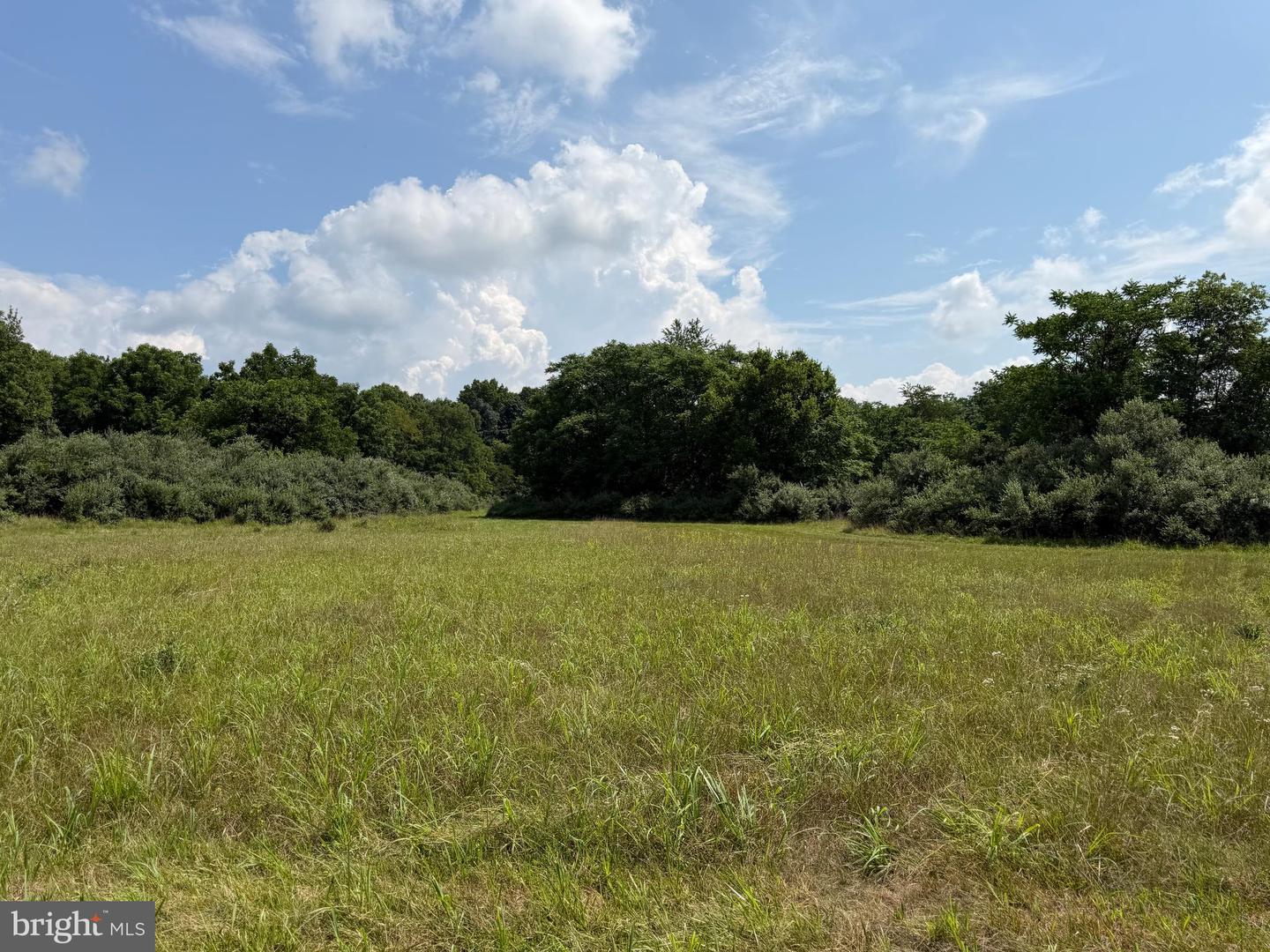 10068 Harry Byrd Hwy Property Photo 82