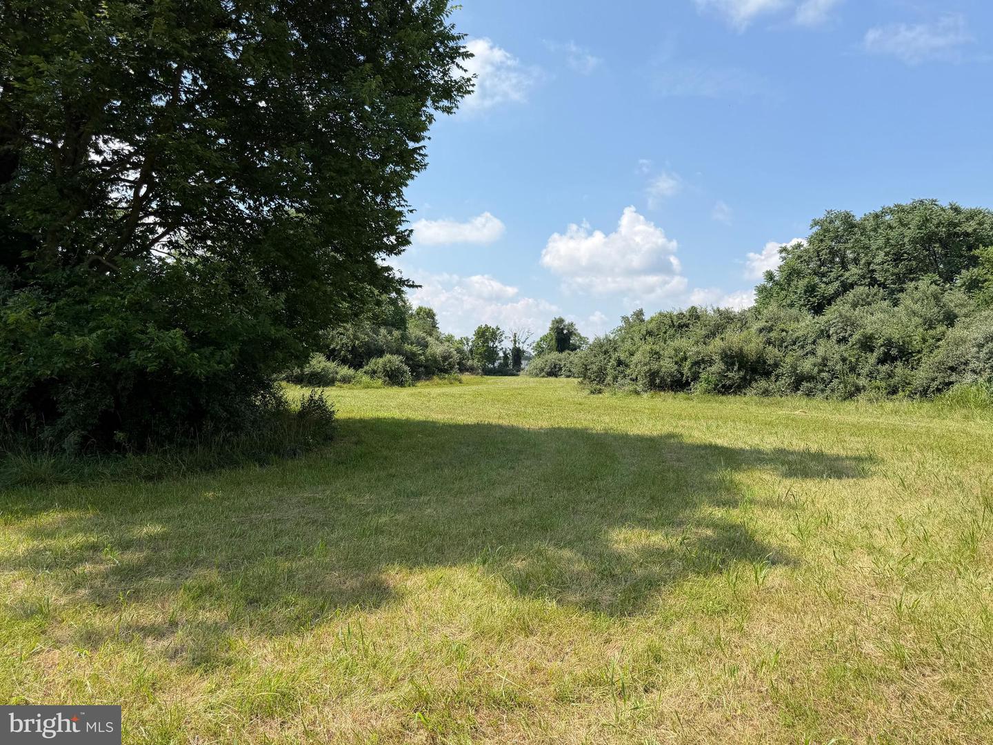 10068 Harry Byrd Hwy Property Photo 83