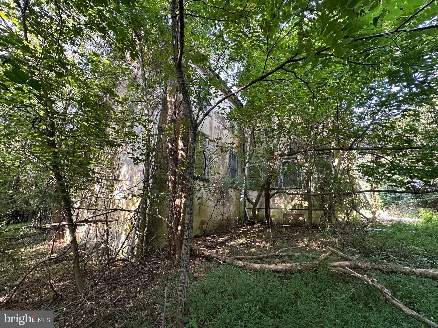 10068 Harry Byrd Hwy Property Photo 92