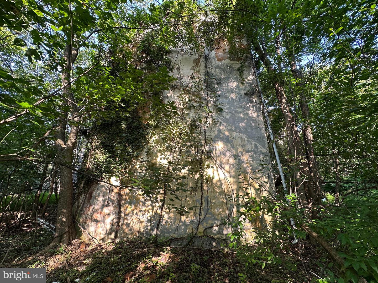 10068 Harry Byrd Hwy Property Photo 93