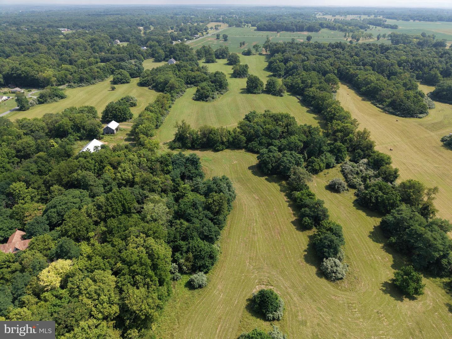 10068 Harry Byrd Hwy Property Photo 29