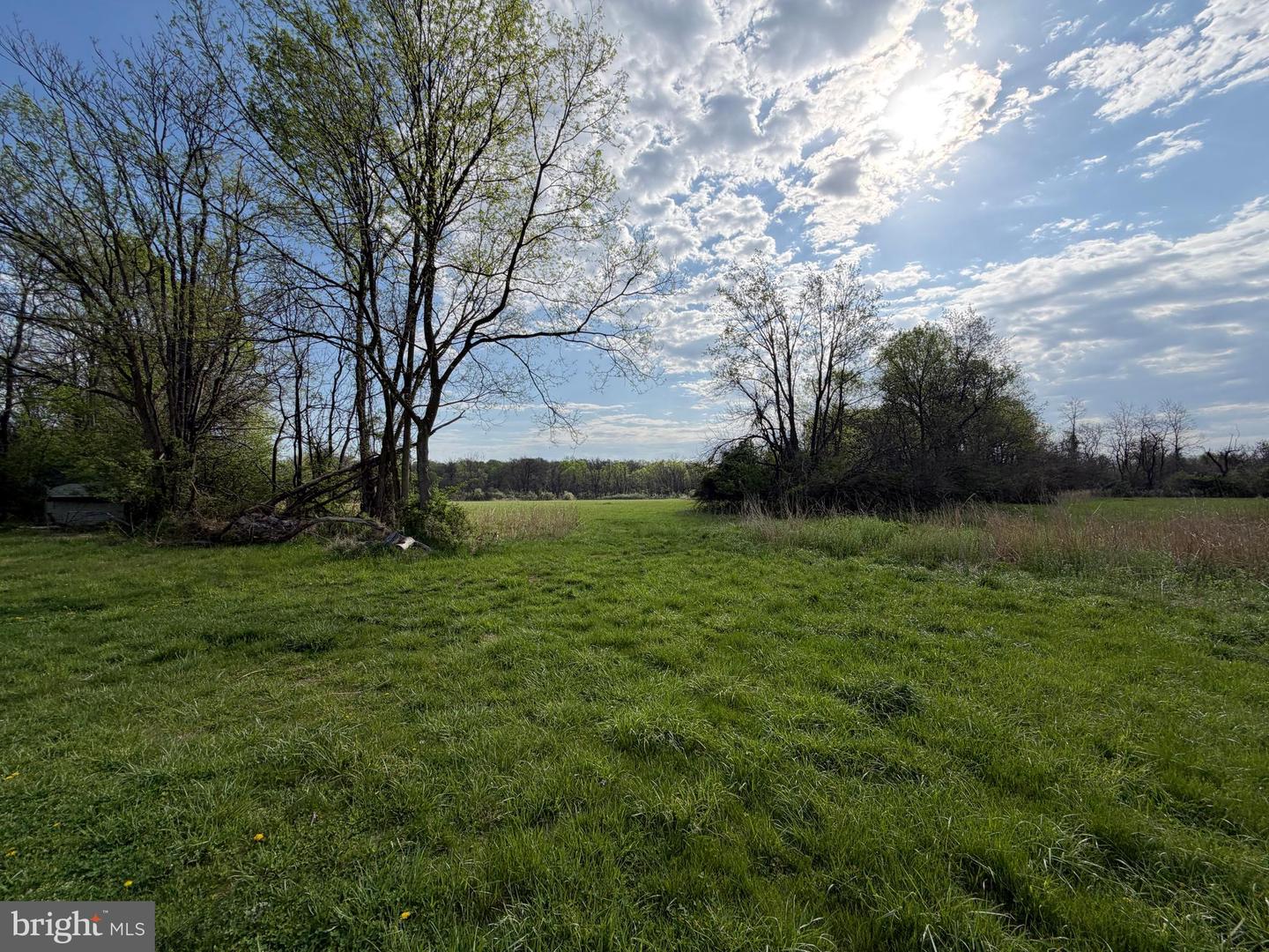 10068 Harry Byrd Hwy Property Photo 35
