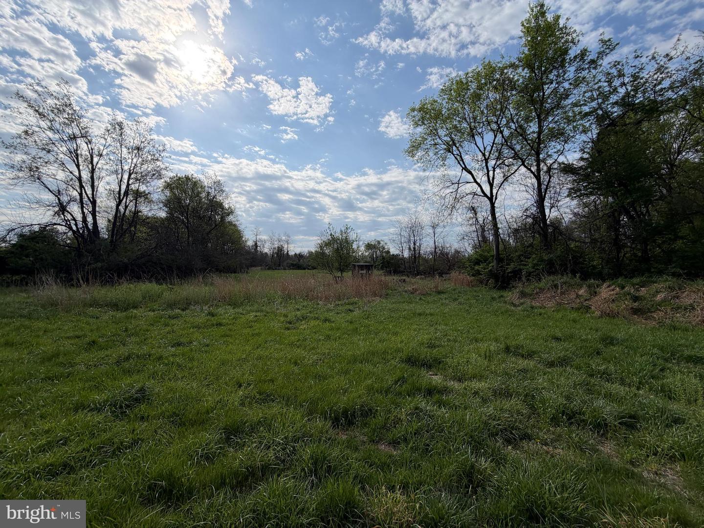 10068 Harry Byrd Hwy Property Photo 36