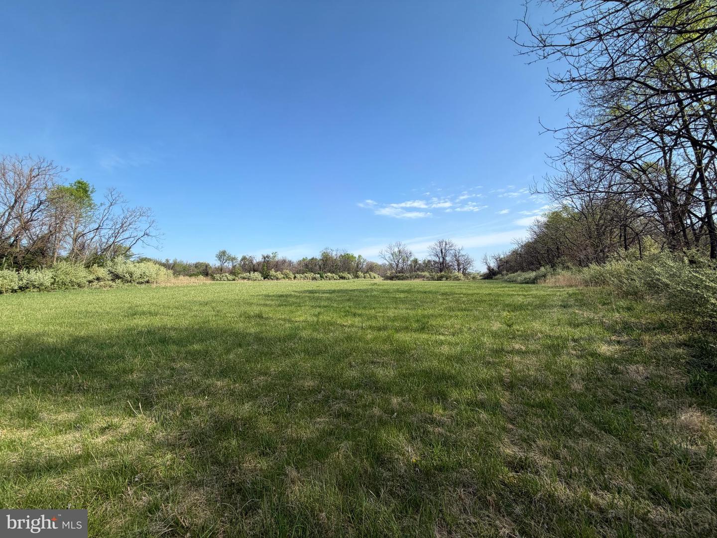 10068 Harry Byrd Hwy Property Photo 39