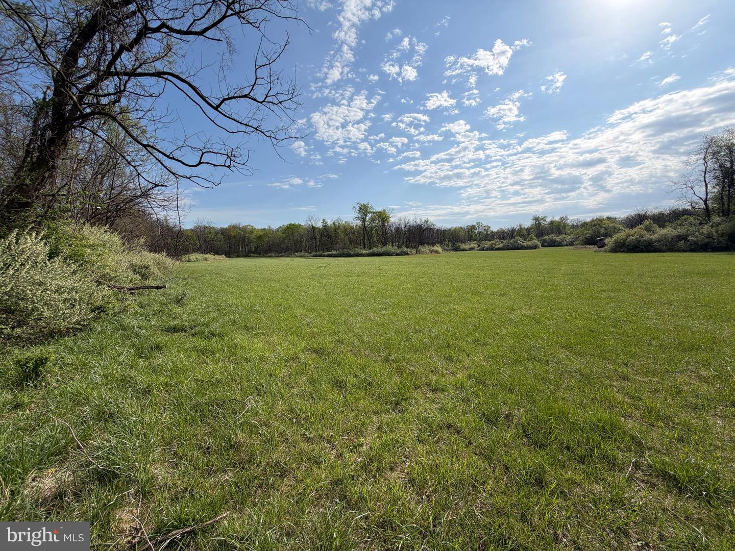 10068 Harry Byrd Hwy Property Photo 41