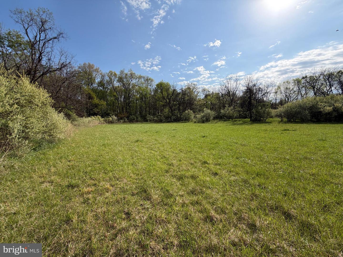10068 Harry Byrd Hwy Property Photo 44