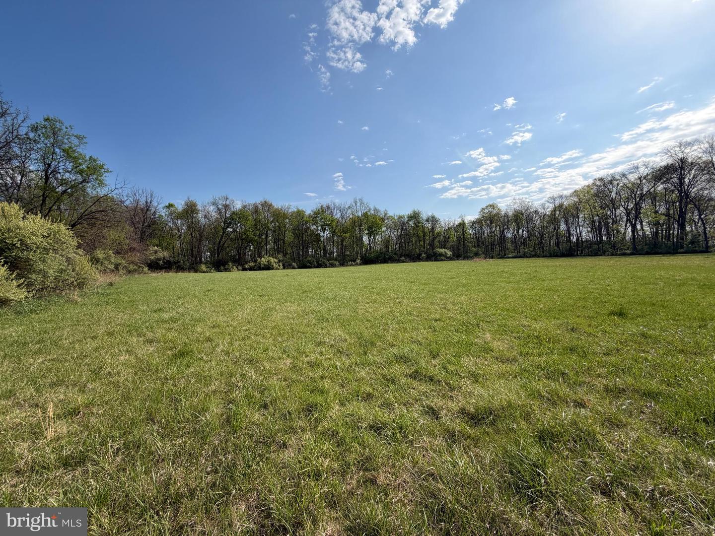 10068 Harry Byrd Hwy Property Photo 46