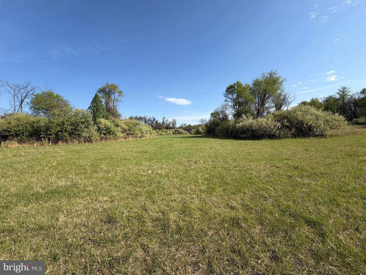 10068 Harry Byrd Hwy Property Photo 49