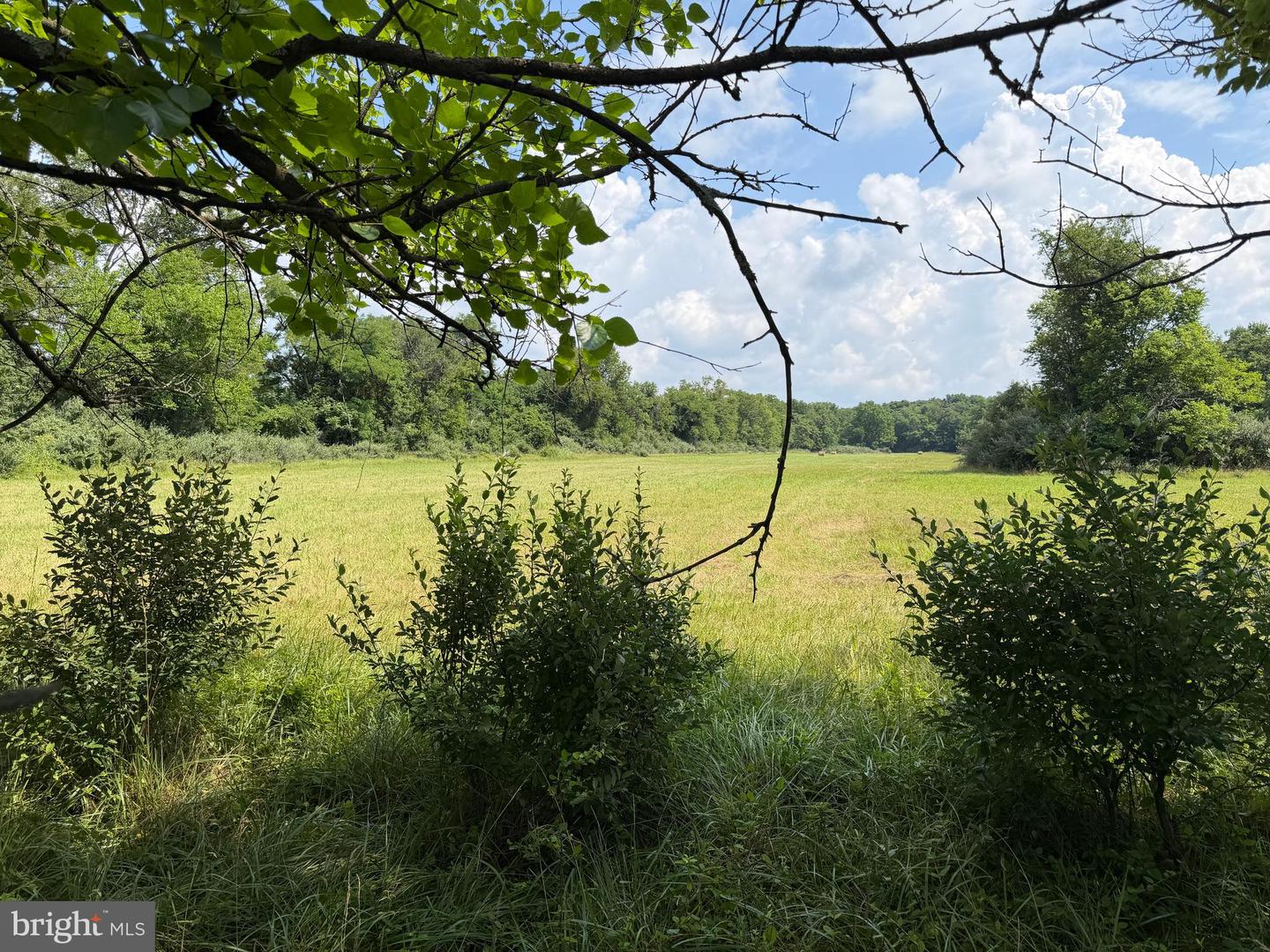 10068 Harry Byrd Hwy Property Photo 56