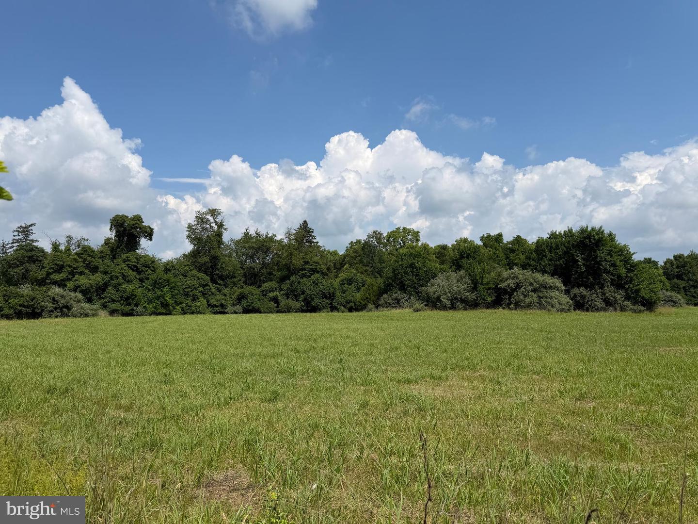 10068 Harry Byrd Hwy Property Photo 59