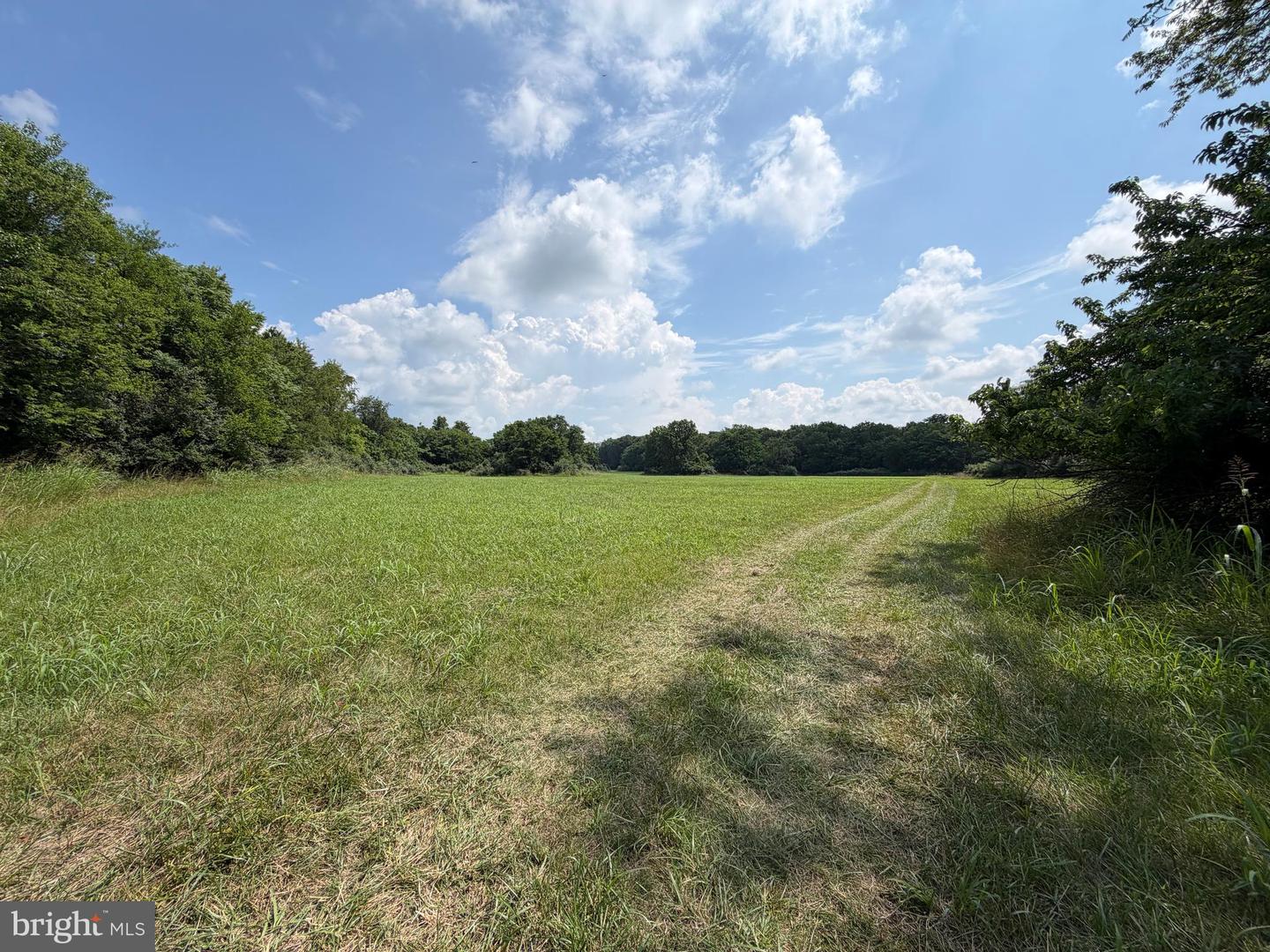 10068 Harry Byrd Hwy Property Photo 73