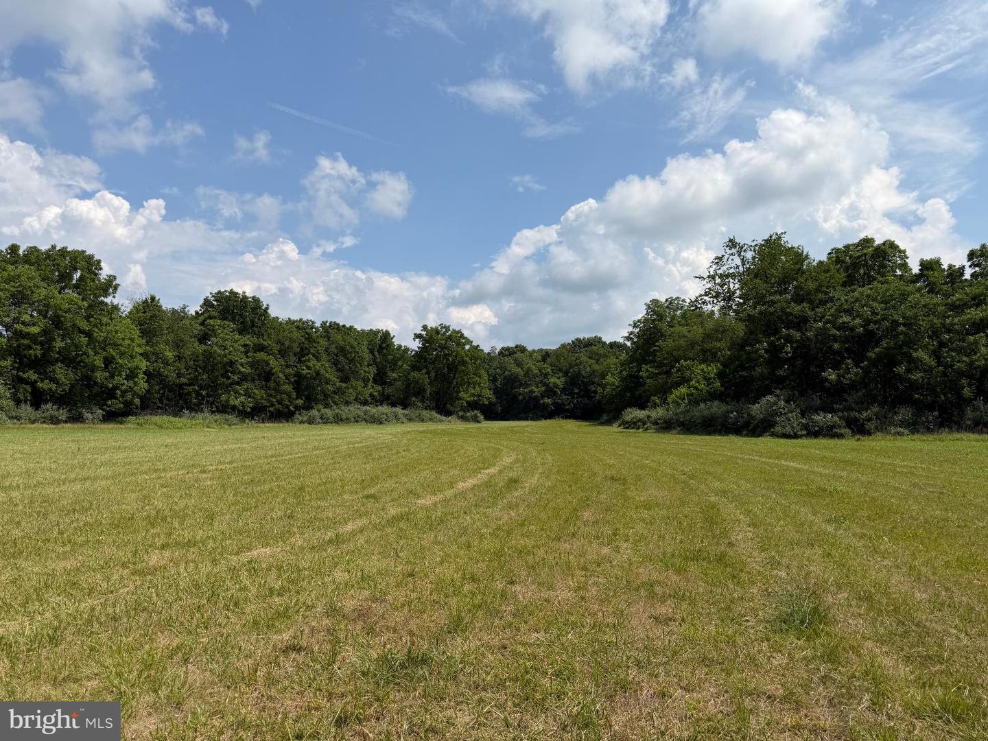 10068 Harry Byrd Hwy Property Photo 80