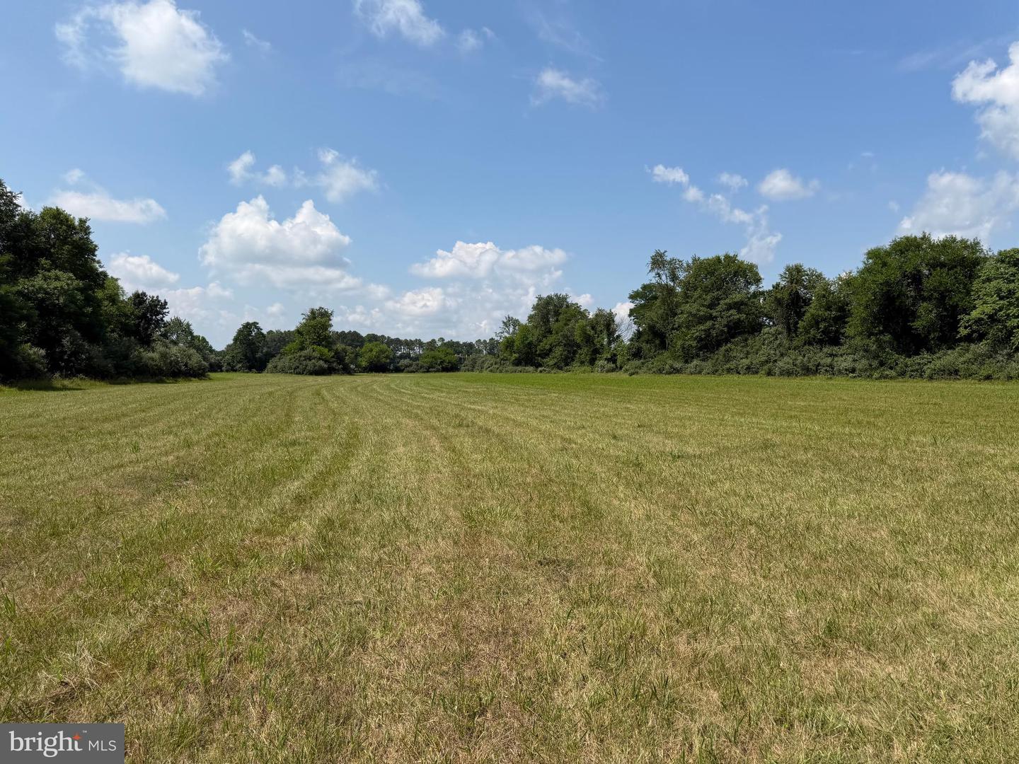 10068 Harry Byrd Hwy Property Photo 81