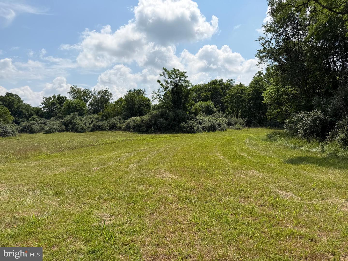 10068 Harry Byrd Hwy Property Photo 84