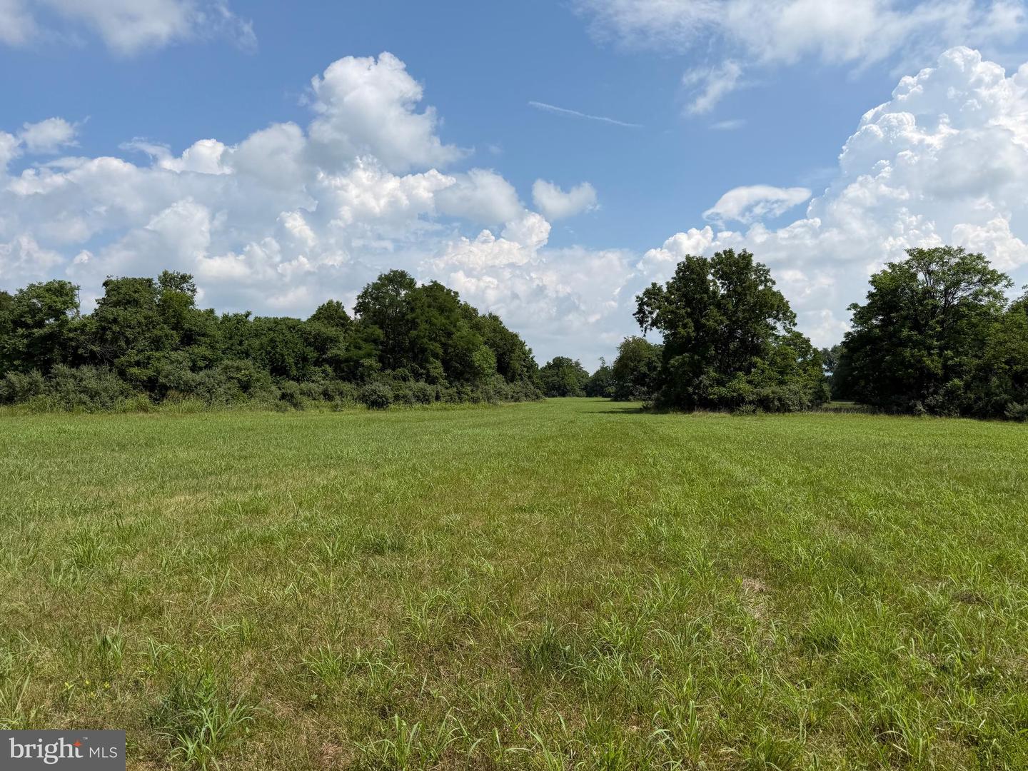 10068 Harry Byrd Hwy Property Photo 85
