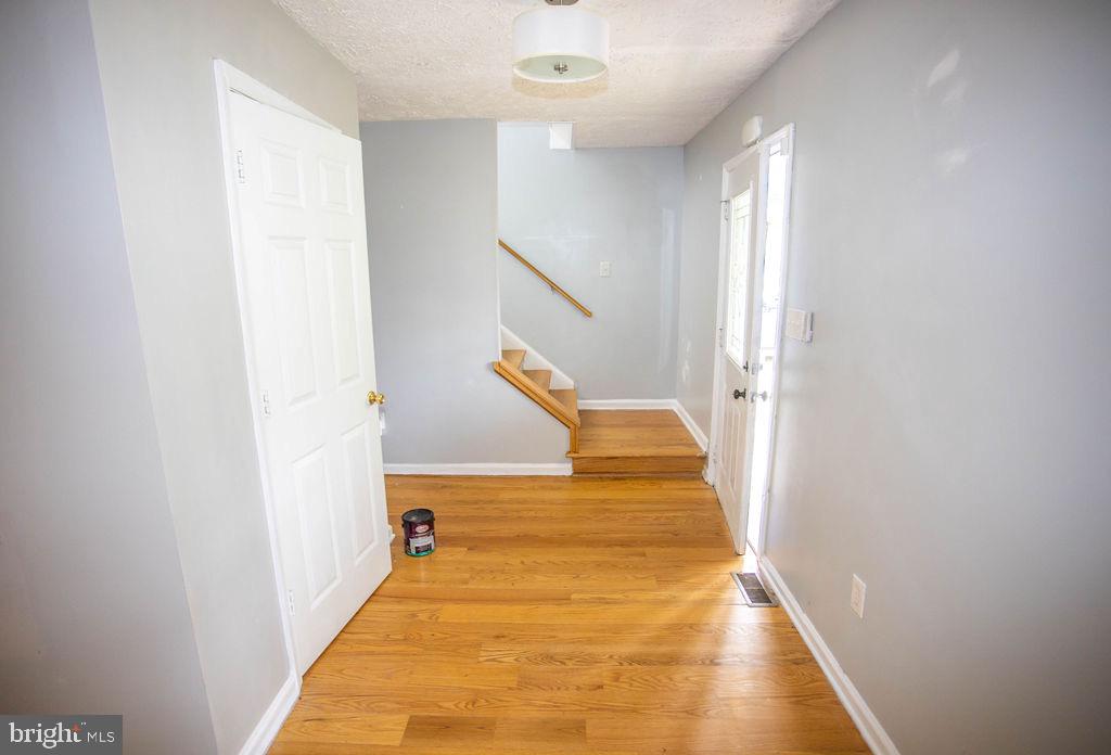 8 Whiting Ave Property Photo 19