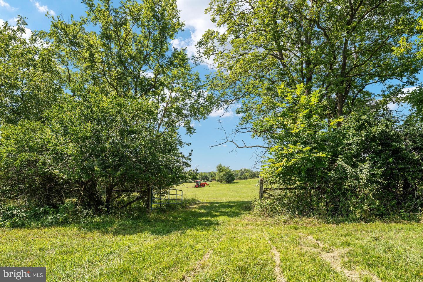 274 Wadesville Rd Property Photo 66