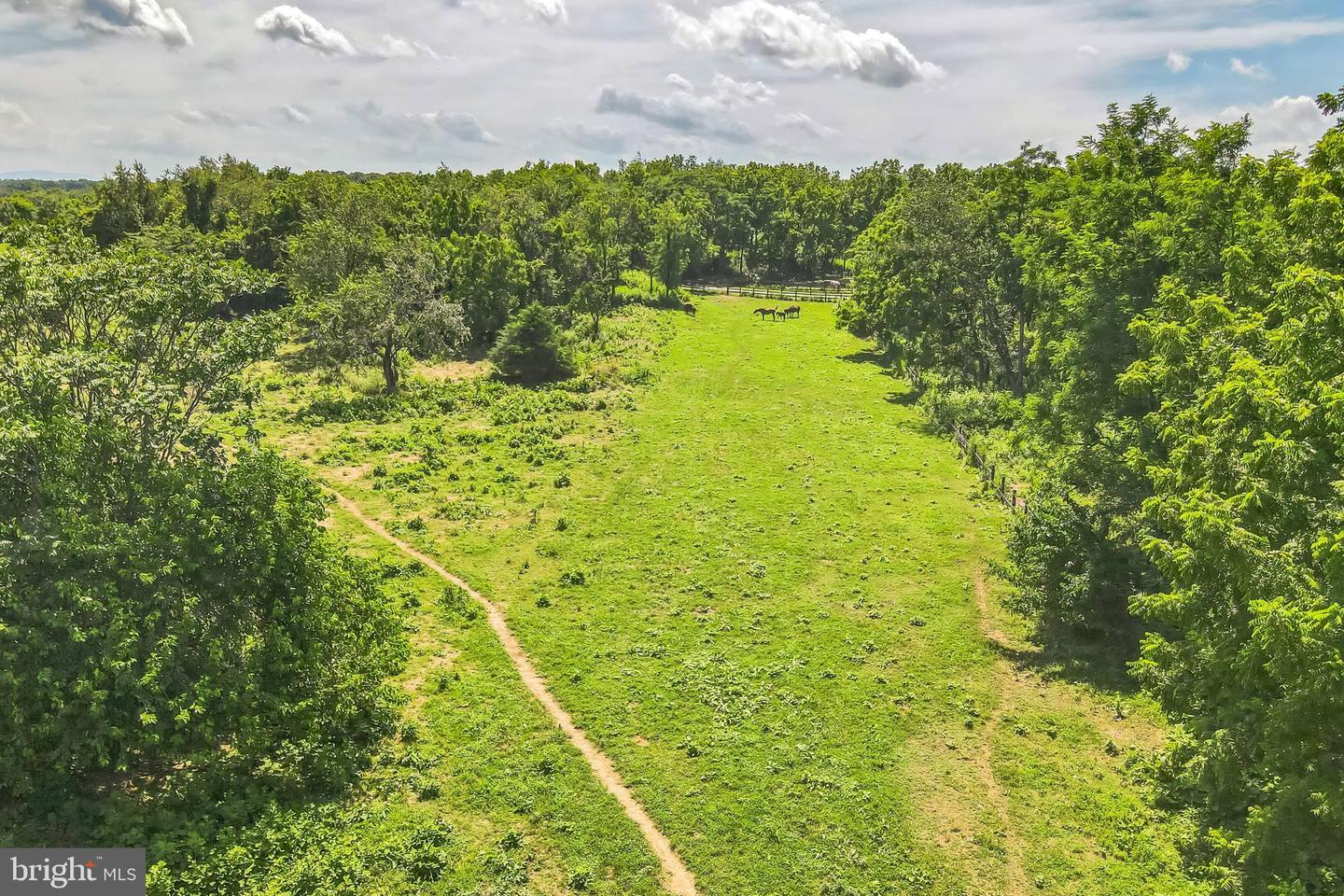 1683 Withers Larue Rd Property Photo 4