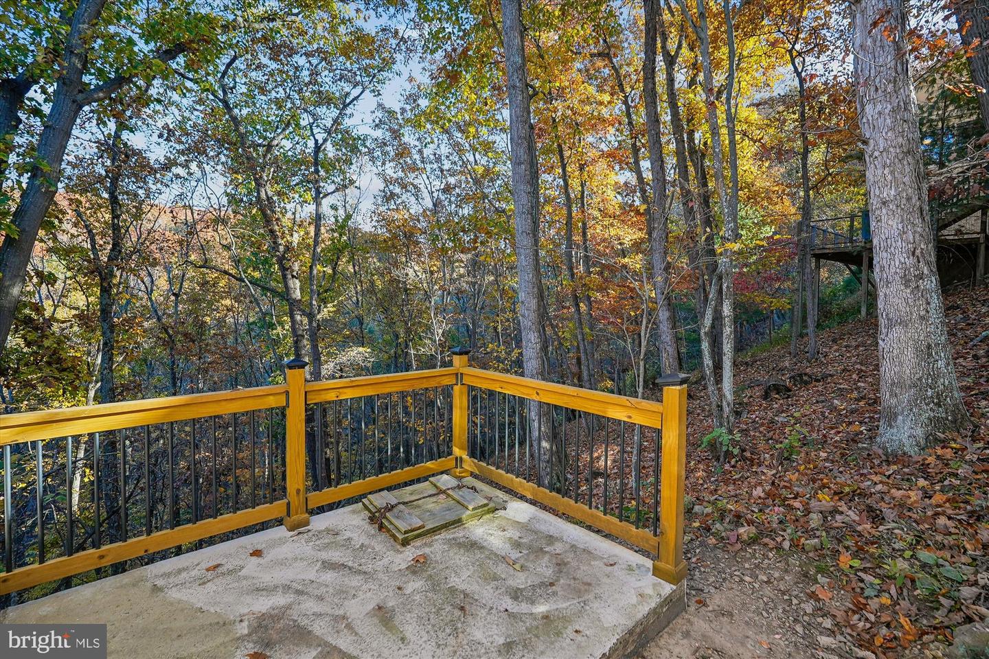 598 Timber Ln Property Photo 8